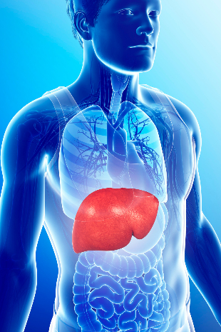 Liver Cancer Immunotherapy Treatment